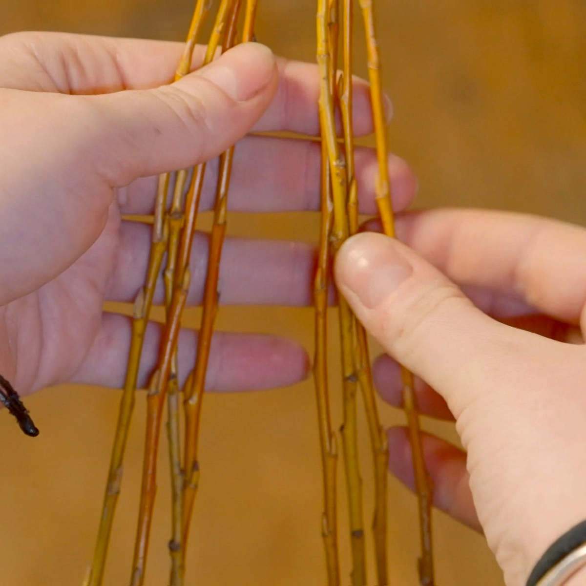 správný úchop prutů je zásadní pro budoucí úspěch