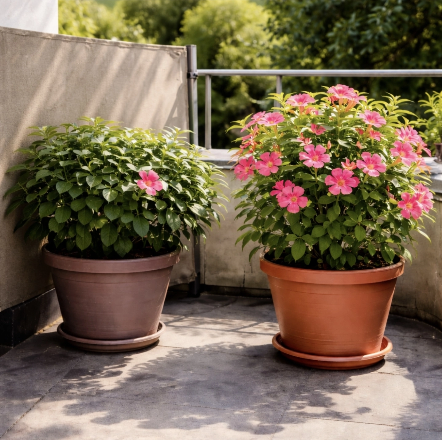 sandevila slunce vs stín