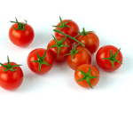 Choroby sazenic rajčat