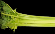Celerová pomazánka