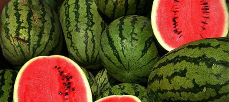 Triky s vodním melounem